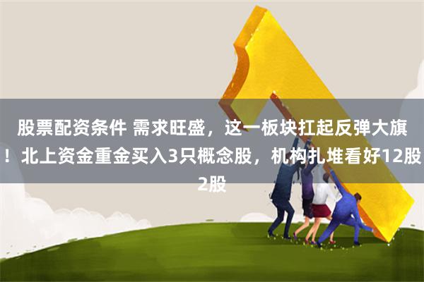 股票配资条件 需求旺盛，这一板块扛起反弹大旗！北上资金重金买入3只概念股，机构扎堆看好12股