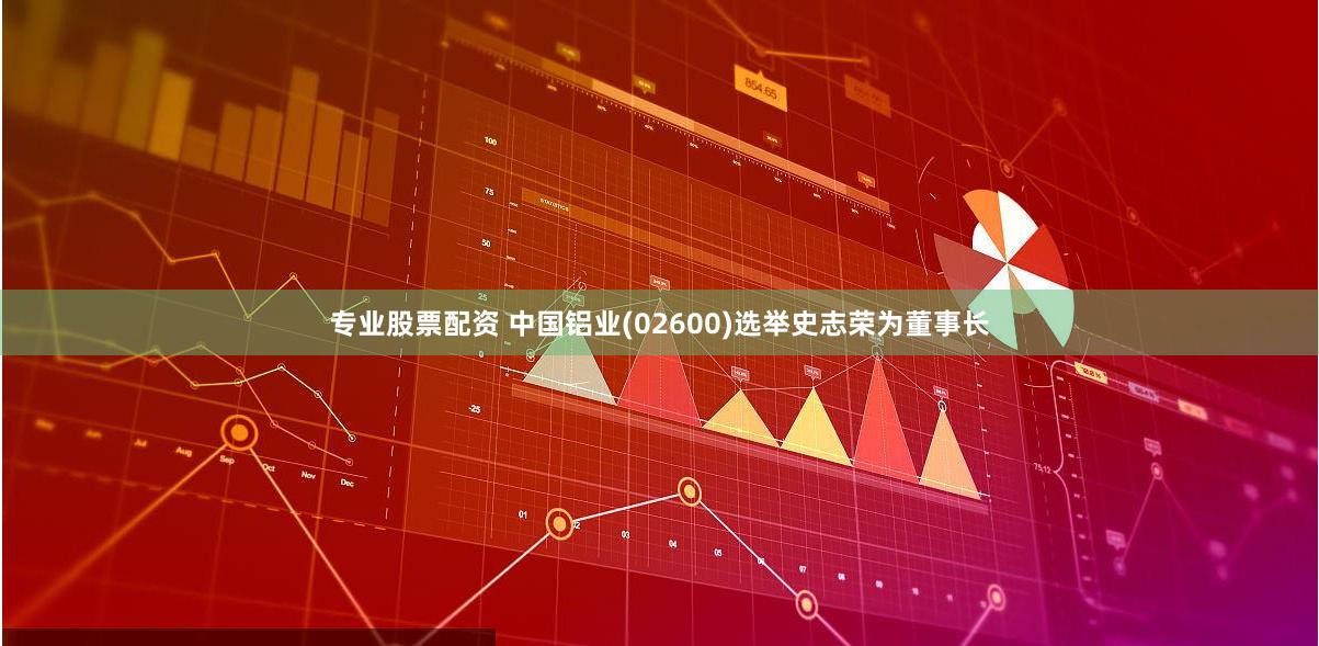 专业股票配资 中国铝业(02600)选举史志荣为董事长