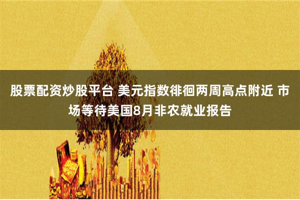 股票配资炒股平台 美元指数徘徊两周高点附近 市场等待美国8月非农就业报告