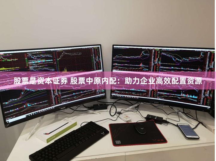 股票是资本证券 股票中原内配：助力企业高效配置资源